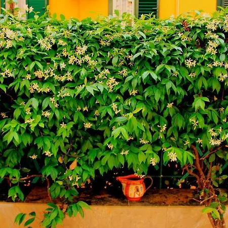 Casa E Per Vacanze Bonifazi בית נופש רומא